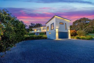 Farm Sold - VIC - Invermay - 3352 - LUXURIOUS FAMILY HOME ON ACREAGE  (Image 2)
