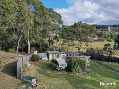 Farm Sold - TAS - Ellendale - 7140 - Ready To Build Your Dream Home In Pure Serenity  (Image 2)