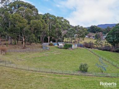 Farm Sold - TAS - Ellendale - 7140 - Ready To Build Your Dream Home In Pure Serenity  (Image 2)