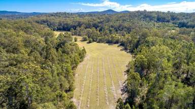 Farm Sold - QLD - Tamborine - 4270 - 91.3 ha / 225 acres of absolute privacy, adjoining Tamborine National Park  (Image 2)