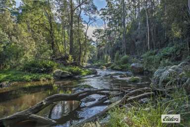 Farm Sold - TAS - Moorleah - 7325 - WEEKENDER LIFESTYLE, RURAL PROPERTY  (Image 2)