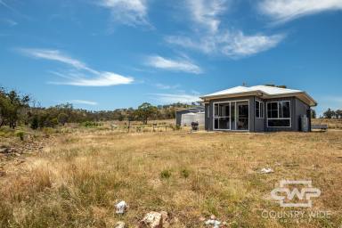 Farm Sold - NSW - Emmaville - 2371 - Modern Build Lifestyle Block  (Image 2)