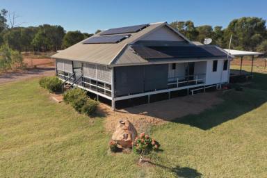 Farm Sold - QLD - Basalt - 4820 - Going concern, entry level grazing property  (Image 2)