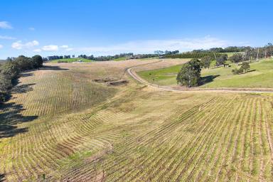 Farm Sold - VIC - Hernes Oak - 3825 - IDEAL LIFESTYLE and GRAZING FARM  (Image 2)
