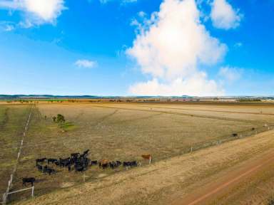 Farm Sold - QLD - Kings Creek - 4361 - 1 x 90 Acre Lifestyle Block  (Image 2)