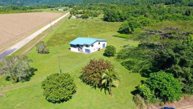 Farm Sold - QLD - Shell Pocket - 4855 - Rural Lifestyle Opportunity $550K  (Image 2)