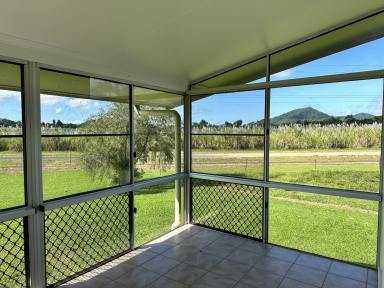 Farm For Sale - QLD - Shell Pocket - 4855 - Rural Lifestyle Opportunity $550K  (Image 2)