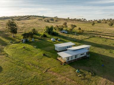 Farm Sold - NSW - Wagga Wagga - 2650 - Productive Grazing & Tremendous Rural Lifestyle  (Image 2)