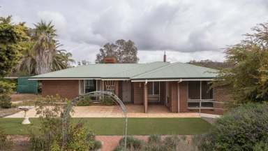 Farm Sold - WA - Narrogin - 6312 - Four Bedroom Home on Acreage in a Premium Position  (Image 2)