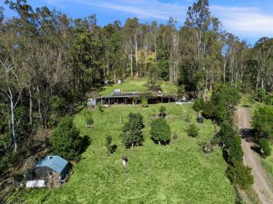 Farm Sold - QLD - Conondale - 4552 - SOLD BY RODNEY MILLETT  (Image 2)