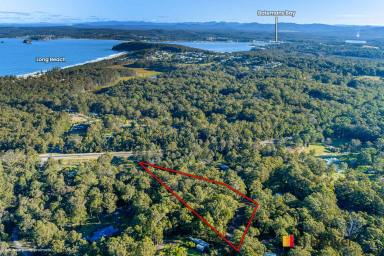 Farm For Sale - NSW - Long Beach - 2536 - SECLUDED BUT ACCESSIBLE ACREAGE  (Image 2)