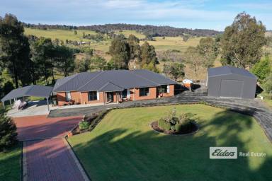 Farm For Sale - VIC - Sarsfield - 3875 - 4 Bedrooms, Big shed.  (Image 2)