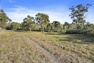 Farm Sold - TAS - Dodges Ferry - 7173 - Your own piece of paradise  (Image 2)