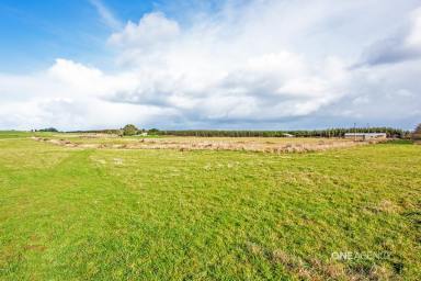 Farm Sold - TAS - Trowutta - 7330 - A Piece Of History On 6.543 Hectares!  (Image 2)