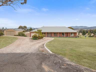 Farm Sold - NSW - Quirindi - 2343 - SOLD PRIOR TO MARKET!  (Image 2)