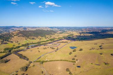 Farm Sold - NSW - Dungog - 2420 - "Sweet Acres"  (Image 2)