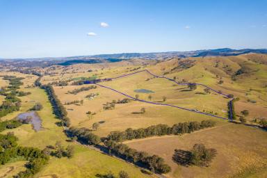 Farm Sold - NSW - Dungog - 2420 - Simply Breathtaking - "LAKE VIEW"  (Image 2)