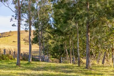 Farm Sold - NSW - Dungog - 2420 - Simply Breathtaking - "LAKE VIEW"  (Image 2)