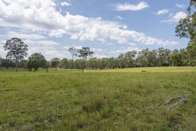 Farm For Sale - NSW - Lawrence - 2460 - RURAL HOMESITE IN LAWRENCE VILLAGE  (Image 2)