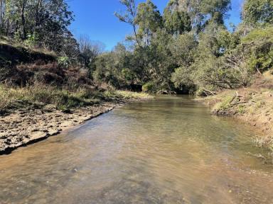 Farm For Sale - NSW - Rock Valley - 2480 - Grazing Property - 340 Acres  (Image 2)