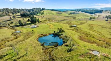 Farm For Sale - NSW - Nowendoc - 2354 - Tightly Held High Rainfall Country  (Image 2)