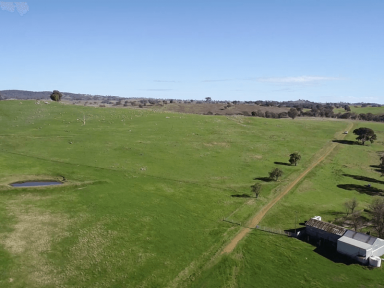 Farm Sold - NSW - Boorowa - 2586 - Productive Grazing on the Boorowa River  (Image 2)