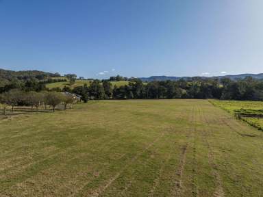 Farm Sold - NSW - Tullimbar - 2527 - Amazing Development Opportunity  (Image 2)