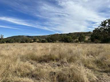 Farm Sold - NSW - Bingara - 2404 - High Rainfall Horton Valley Grazing  (Image 2)