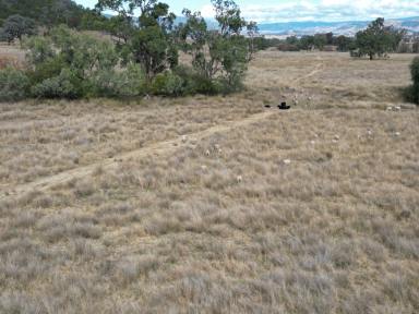 Farm Sold - NSW - Bingara - 2404 - High Rainfall Horton Valley Grazing  (Image 2)