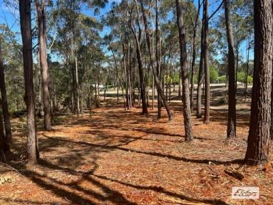 Farm For Sale - NSW - Wallagoot - 2550 - One of Natures Best Vacant Lots  (Image 2)