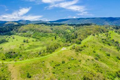 Farm For Sale - NSW - Georgica - 2480 - Beautiful Valley Parcel of Land for Sale with Two Titles! Owner committed elsewhere  (Image 2)