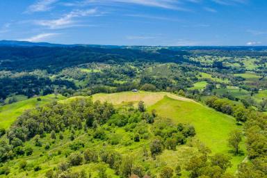 Farm For Sale - NSW - Georgica - 2480 - Beautiful Valley Parcel of Land for Sale with Two Titles! Owner committed elsewhere  (Image 2)