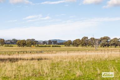 Farm For Sale - VIC - Toolleen - 3551 - 166 Ac / 67 Ha with Spectacular Views  (Image 2)