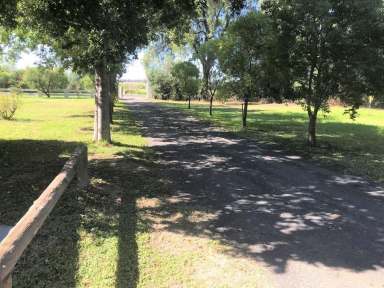 Farm Sold - NSW - Coonamble - 2829 - Perfectly Positioned - High on Appeal  (Image 2)