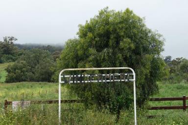 Farm Sold - NSW - Gulargambone - 2828 - "Windemere"  (Image 2)
