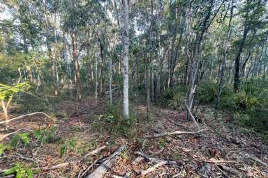 Farm Sold - QLD - Bauple - 4650 - YOU ASKED FOR PRIVACY?  (Image 2)