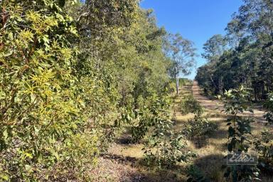 Farm Sold - QLD - Bauple - 4650 - YOU ASKED FOR PRIVACY?  (Image 2)