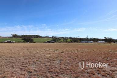 Farm Sold - NSW - Inverell - 2360 - SOLD BY LJ HOOKER INVERELL  (Image 2)