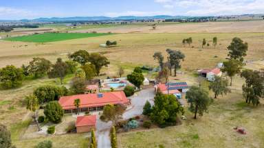 Farm Sold - NSW - Attunga - 2345 - 'Kirri Ki' Acreage Living At Its Absolute Finest  (Image 2)