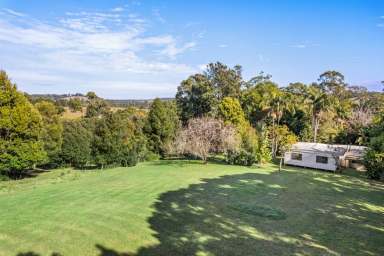 Farm Sold - NSW - Possum Creek - 2479 - The start of something spectacular  (Image 2)