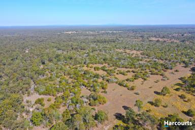 Farm Sold - QLD - Buxton - 4660 - Gateway to Buxton With So Much Potential!!!  (Image 2)