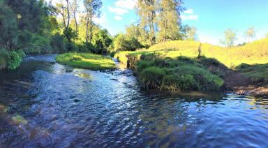 Farm Sold - NSW - Kyogle - 2474 - CRYSTAL CLEAR CREEK FRONTAGE  (Image 2)