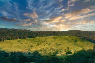 Farm For Sale - QLD - Belli Park - 4562 - Exquisite 40-Acre Property with Stylish New Home and Spectacular Views  (Image 2)