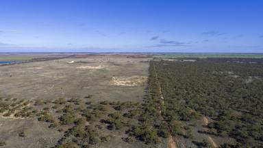 Farm Sold - VIC - Koorlong - 3501 - Prime Industrial Land Opportunity: 60 Acres of Potential  (Image 2)