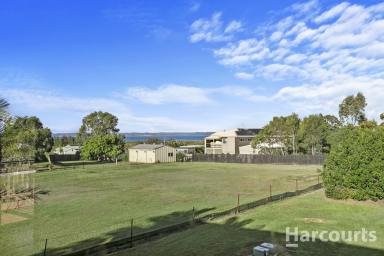 Farm Sold - QLD - River Heads - 4655 - Contract Crashed!!  (Image 2)
