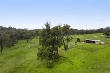 Farm Sold - WA - Bridgetown - 6255 - 100 ACRES OF PRIME FARMING LAND  (Image 2)