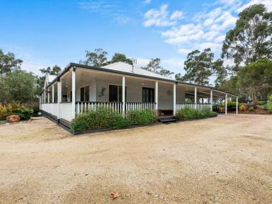 Farm Sold - VIC - Nicholson - 3882 - JUST STUNNING – DON’T MISS THIS LIFESTYLE DREAM  (Image 2)