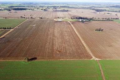 Farm Sold - NSW - Temora - 2666 - Highly Productive Arable Mixed Farm  (Image 2)
