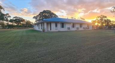 Farm Sold - QLD - Gracemere - 4702 - Lifestyle and Room to Move in Quality Area  (Image 2)