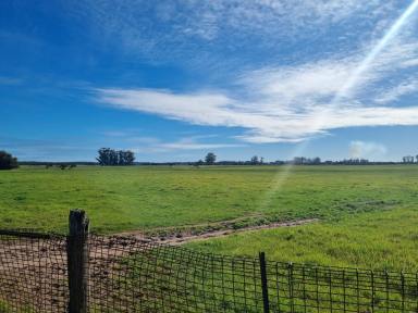 Farm Sold - WA - Cookernup - 6219 - Prime Beef Grazing Country  (Image 2)